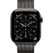 Apple Watch 42 SLate Ml (MGJ14ZM/A)