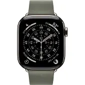 Apple Watch 42 Sage Gray Mb M (MGGA4ZM/A)