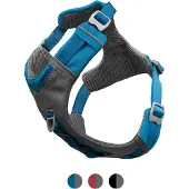 Kurgo Journey air koiran valjas