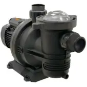 Aquasphere Fluidra Itseimevä Allaspumppu 75939 75m