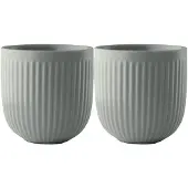 Eva Trio - Legio Nova Kuppi 34 cl 2kpl Sage