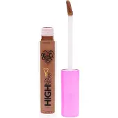 KimChi Chic High Key Gloss Full Coverage Lipgloss Earthy