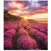 Samsung SMART LED SIGNAGE INDOOR LED IF015BAS CABINET (LH015IFHBAS/EN)