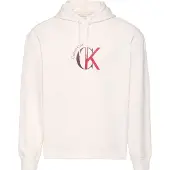 Calvin Klein Jeans Eu 350 Terry Graphic Huppari