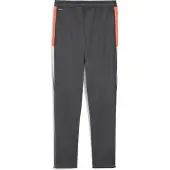 Puma Individualliga Training Pants Jr - Grey - 164