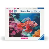 Ravensburger Red Lionfish 500P - Multi/patterned - ONE SIZE