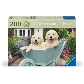 Ravensburger Golden Retriever 200P Ad - Multi/patterned - ONE SIZE