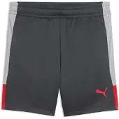 Puma Individualliga Training Shorts Jr - Grey - 152