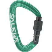 Salewa Ortles Screw Karbiinihaka