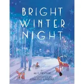 Bookoutlet Bright Winter Night