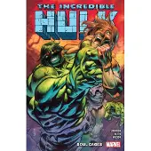 Marvel Comics Incredible Hulk Vol. 3: Soul Cages