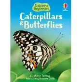 Usborne Caterpillars and Butterflies