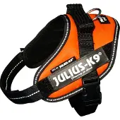 JULIUS K-9 Idc Power Mini Koiran Valjaat