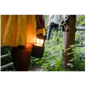 Pure Woodland Glow langaton kannettava kaiutin