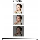 Ulanzi VL200 Bi-Color LED Video Light 2481