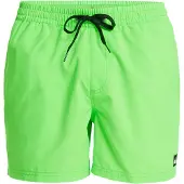 Quiksilver Everyday Solid Volley 15 Surffishortsit green gecko Koko L