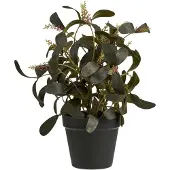 House Nordic Tekokasvi 35 cm vihreä, muovi