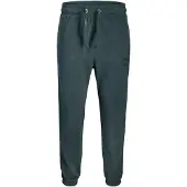 Jack & Jones Jpstkane Bleecker Sweat Pants Bf Mni - Green - 110