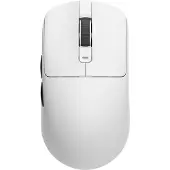 Royal Kludge M3 Wireless, Panda