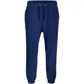 Jack & Jones Jpstkane Bleecker Sweat Pants Bf Mni - Navy - 104