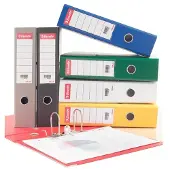 Esselte - 30 x 158 mm - 250 g/m² - 100 kpl selkäetiketit
