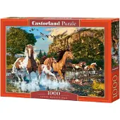Castorland Horse Wonderland 1000p palapeli