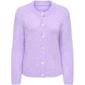 JDY Jdydinea L/S Button Cardigan Knt Noos - Purple - L