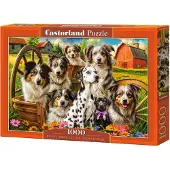 Castorland Happy Dogs In The Countryside 1000p palapeli