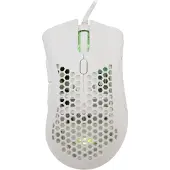 Baracuda BGM-031 Coral biały