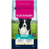 Eukanuba Dog Adult Medium 3 kg koiran kuivaruoka