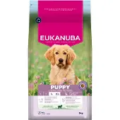 Eukanuba 2x3kg Premium Nutrition Puppy Large & Giant Breed karitsa & riisi