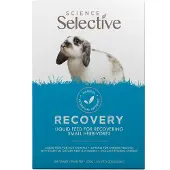 Supreme Recovery 10 x 20 g