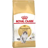 Royal Canin - Norwegian Forest Adult Kuivaruoka kissoille 10 kg - Kissat - Kissanruoka - Kuivaruoka