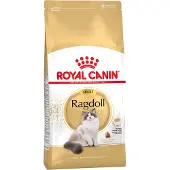 Royal Canin - Ragdoll Adult Dry kissanruoka 2 kg - Kissat - Kissanruoka - Kuivaruoka