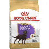 Royal Canin 12kg Sterilised Labrador Retriever Adult Breed Koiranruoka
