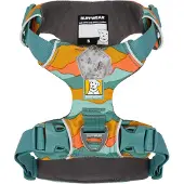 Ruffwear Front Range koiranvaljaat, Spring Mountains