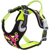 Hurtta Weekend Warrior Neon-valjaat, lakritsi