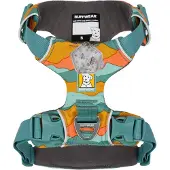 Ruffwear Front Range koiranvaljaat, Spring Mountains