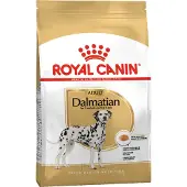 Royal Canin - Dalmatialainen Aikuinen 12 kg - Koirat - Koiranruoka - Kuivaruoka