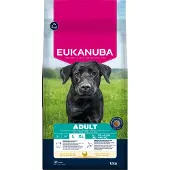 Eukanuba Dog Adult Large 15 kg koiran kuivaruoka
