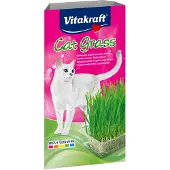 A - Mix 3 for 108 - Cat Grass in Tray 120g