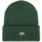 Dickies Gibsland K lasten pipo