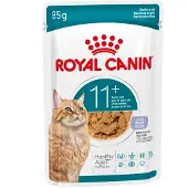 Royal Canin FHN Ageing 11+ hyytelössä 12 x 85 g