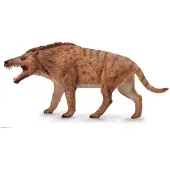 Collecta Deluxe Andrewsarchus 1:20 Hahmo
