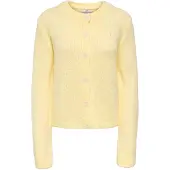 JDY Jdydinea L/S Button Cardigan Knt Noos - Yellow - XL