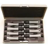 PROSKIT Ruuvimeisselisetti 8PK-SD002N; 8 kpl.