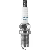 BorgWarner (BERU) Sytytystulppa BorgWarner (BERU) Z503