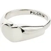 Pilgrim Sormus 'Arin' hopea