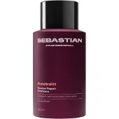 Sebastian Penetraitt Rescue Repair Shampoo, 280ml