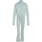 Adidas Urheilupuku pastellinvihreä / valkoinen